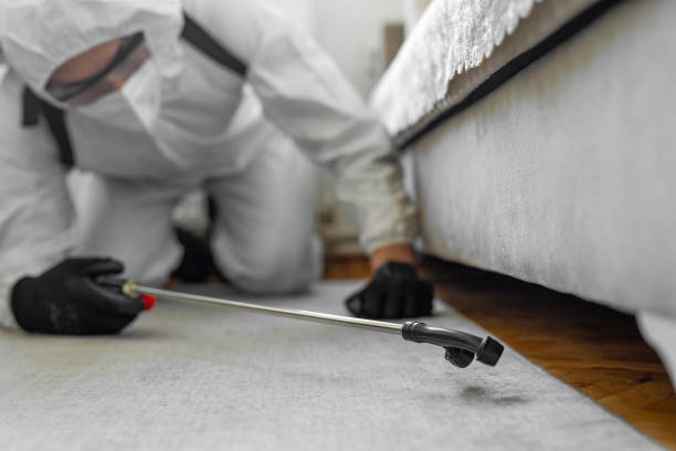 Professional Bed Bug Control technician working in Bellevue, ID