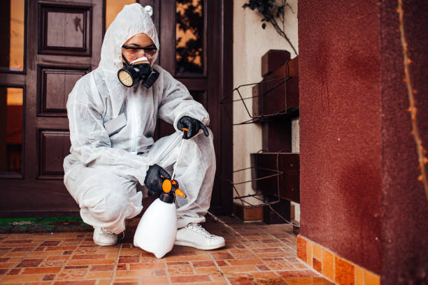 Reliable Bed Bug Control contractor in Bellevue, ID by Nex Pest Control